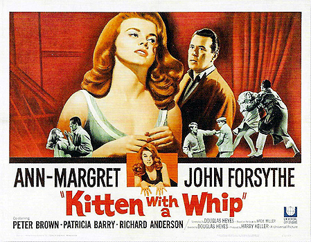 Kitten with a Whip (1964)